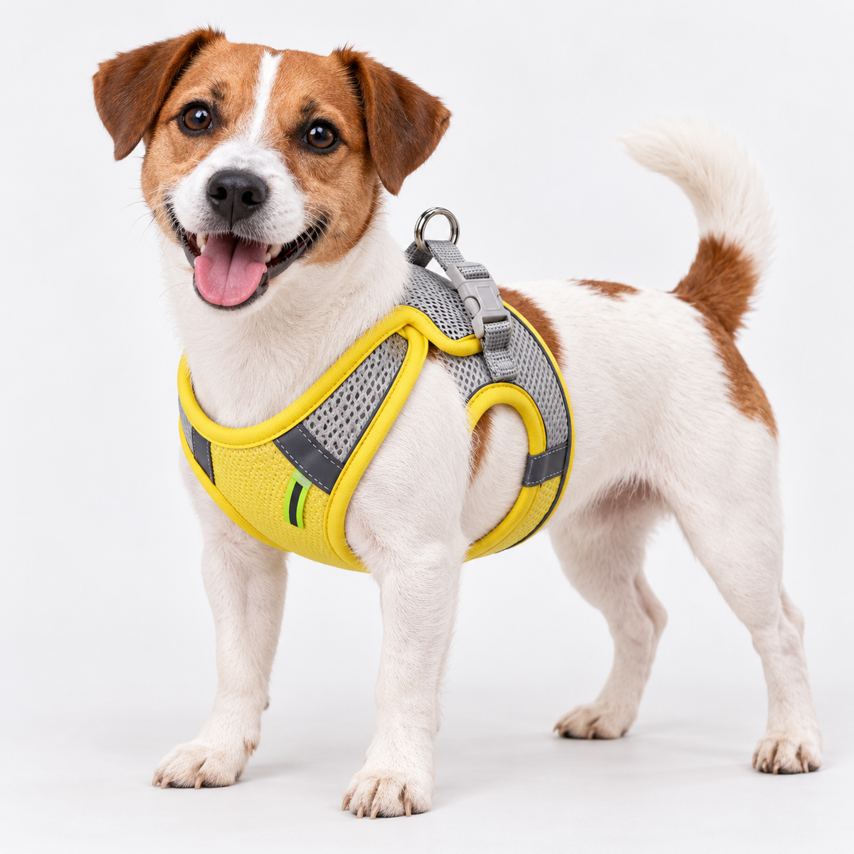 Cat Dog Harness Vest Chest Rope Set Reflective Breathable Adjustable Pet Harness for Small Medium Dogs Outdoor Walking